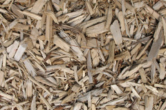 biomass boilers Elstone